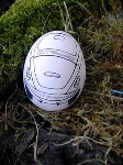 Original Chalk Egg Vw Beetle