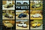 Us-import Vw-käfer History 1938-1979
