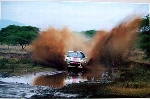 Rally 2002 Carlos Sainz Luis