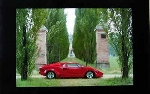 Original Lamborghini 1991 Anniversario