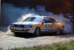 Audi Original 1989 Quattro 200