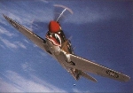 Curtis Wright P-40n Luftfahrt Flugzeug