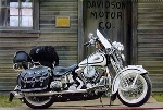 Harley Davidson Flsts Heritage Springer