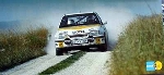 Bilstein Original 1988 Haider/hinterleitner Opel