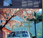 Bmw In Japan Original 1987