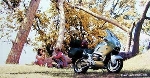 Bmw Bikes Original 1996 R