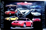 Ford Mustang Evolution