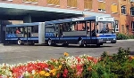 Mercedes-benz Bus