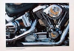 Harley Davidson Heavy Metal Bike