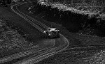 Safari Rallye 1975 - Sandro Munari Lancia Stratos