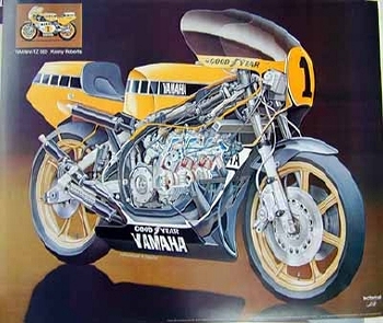 Technical Art Poster-yamaha Tz500