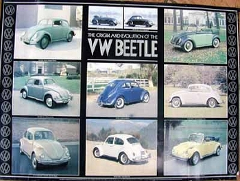 The Origin And Evolution Vw