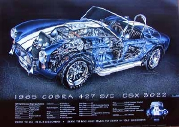 Us Import 1965 Cobra 427