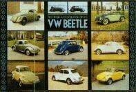 Us-import Vw-beetle History 1938-1979