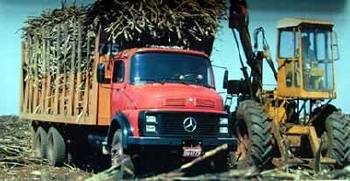 Commercial Vehicle1989 Mercedes-benz