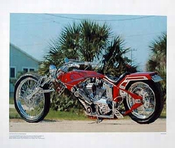 Harley Davidson Custom Bike