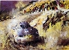 Porsche Original Print 1988 Porsche 550 Coupé - Poster