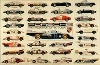 Us Import Porsche Rennen History