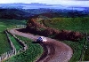 Toyota Original 1999 Motorsport Photo