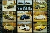 Us-import Vw-beetle History 1938-1979