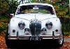 Oldtimer 1998 Daimler 250 V8