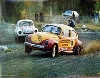 1973 Vw Beetle Rally