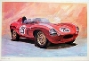 Absolut Selten Jaguar D-typ 1954