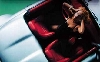 Castrol Original 1999 Best Girls