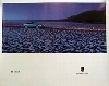 Porsche Original Werbeplakat - Porsche 911 Cabriolet - Gut Erhalten