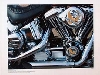 Harley Davidson Heavy Metal Bike