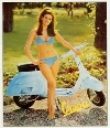 Vespa Kalenderblatt Aus 60ern Motorroller